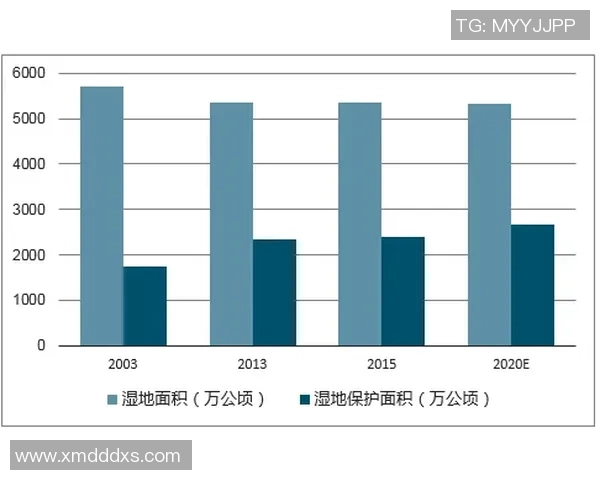 深圳排球队个人能力分析与表现评估研究报告