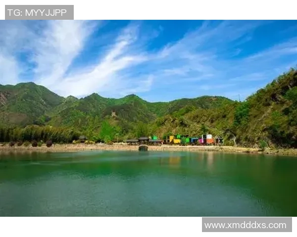 杭州极限运动队整体表现分析与未来发展方向探讨